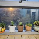 옥천요양원1 이미지