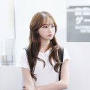 채원 Daum카페