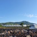 올레벗 게스트하우스 이미지