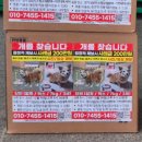 제트피바이오 | [12.13-15] 크리스마스 서울펫쇼 현장 이야기!