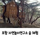 포항 유아 숲 체험 자연놀이연구소 체험 후기