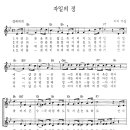 자일의정 Daum카페