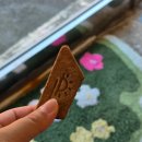 섬마을과자점 - 제주시 관덕로 41 | 제주도 기념선물 추천 디저트 섬마을과자점 흔하지 않은 수제쿠키 내돈내산 후기