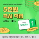 포인트안경,콘택트 이미지