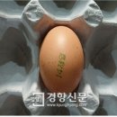 김옥순 농장 경향신문