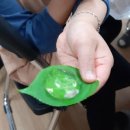 석보초등 이미지