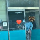 공주카센타 이미지