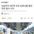 오늘부터 490억 규모 농축산물 할인쿠폰 행사 시작 이미지