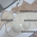 모스트미 | 임산부 브라 추천 심리스 브라 큰컵브라 비교 내돈내산l 러브미모스트, 리아모르, 코데즈컴바인