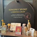 소노펫 보딩 이미지