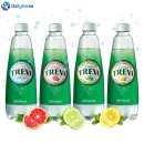 트레비 이미지