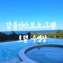 원하환경 | 강릉 신라모노그램 호텔 수영장 예약 요금 복장 후기