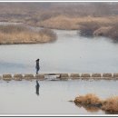 시제