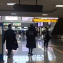 다니엘꽃집 이미지
