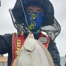 참가자미 이미지