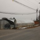 학성군 김완장군 영당 | 학성군 김완장군의 영당과 김해김씨 운산공파 중시조 김세중