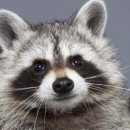 전하낚시 이미지