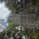 제천 송학산 산행기 (2025-4-19) 이미지