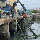 서호전통시장 이미지