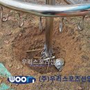대구유천초등학교 이미지