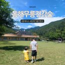 무릉계곡 관리동 | 동해무릉건강숲 숙소, 세 번째 방문이라 더 확실해진 힐링 여행