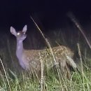 철탑민박 이미지