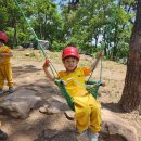 [26.05.11.] 솜팡으로 즐거운 숲체험을 다녀왔어요🌳 이미지