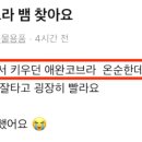 요촌1어린이공원 이미지