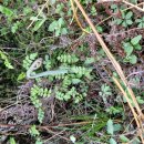 금당목장 이미지