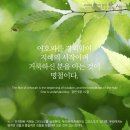 ➕ 잠언 19:18 – 19:29 훈계를 받는 지혜, 꾸지람을 받는 겸손 이미지