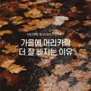 바이유헤어
