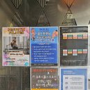 핏합댄스(수) 이미지