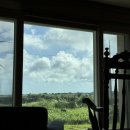 제주노을보리 이미지