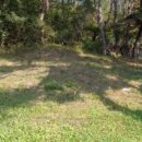 내서읍126 이미지