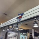 eye사랑안경원 | 탄방동 안경 아이러브안경원 샤크존점