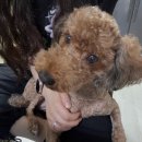 박성용치과의원 이미지