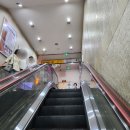 강남구청역 레터링케이크 화이티코 내돈내산후기