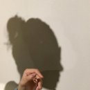 준용커먼레일 이미지