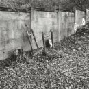 군평초등학교 이미지