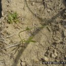 청산농장 이미지