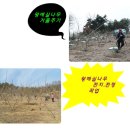 달마농원 이미지