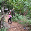 팔공사슴농장 이미지