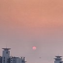 원조영남곱창전골 이미지