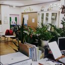 초록요양원 이미지