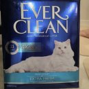 크린에버 | 에버크린 엑스트라 프레쉬 체험단 후기