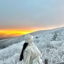 [전남 구례] 지리산 노고단 일출과 함께한 눈꽃산행 후기❤️