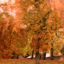 <b>온리</b> 에스터데이(Only Yesterday) ... 나 늙으면, 당신...