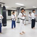 태화태권도장 이미지