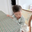 이지어린이집 | 몸무게•식단•발달 육아 실전 기록 (619일차 육아일기, 아가방 하퍼 이지 6부 후기, 어린이집 방학 끝)