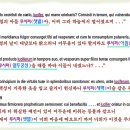 Re: 욥기 38장에 새벽 별들은 하늘의 정사와 권세자들을 말하는 것으로 다 루시퍼들임! 이미지